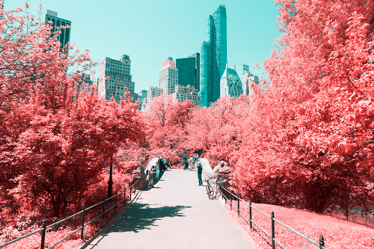 central park infared paolo pettigiani