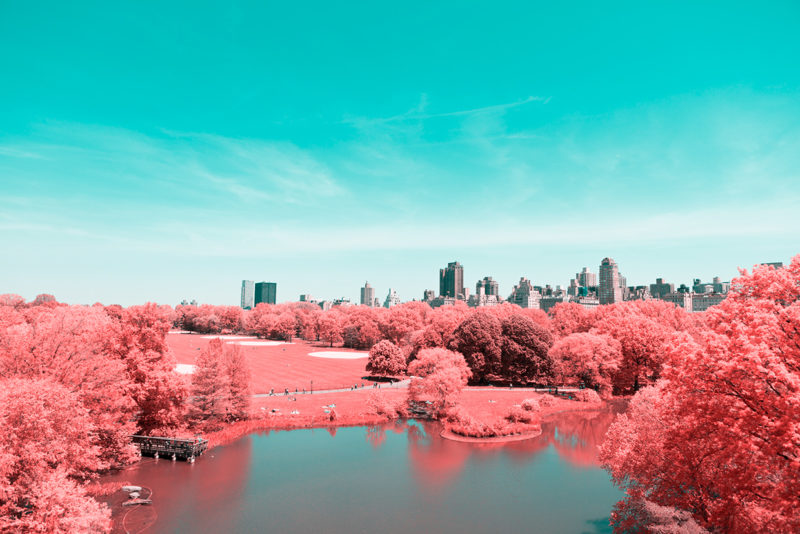 central park infared paolo pettigiani