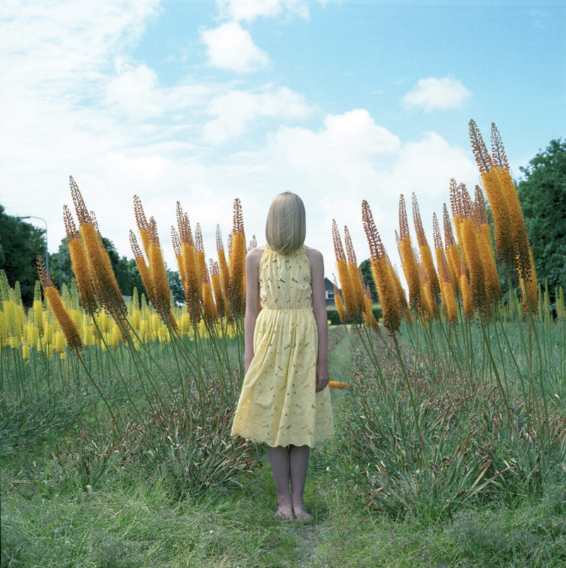 hellen van meene portraits photography
