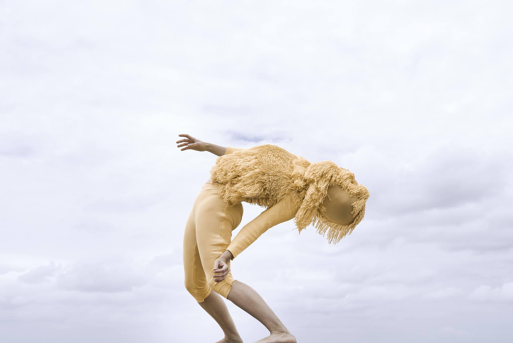 honey long x prue stent