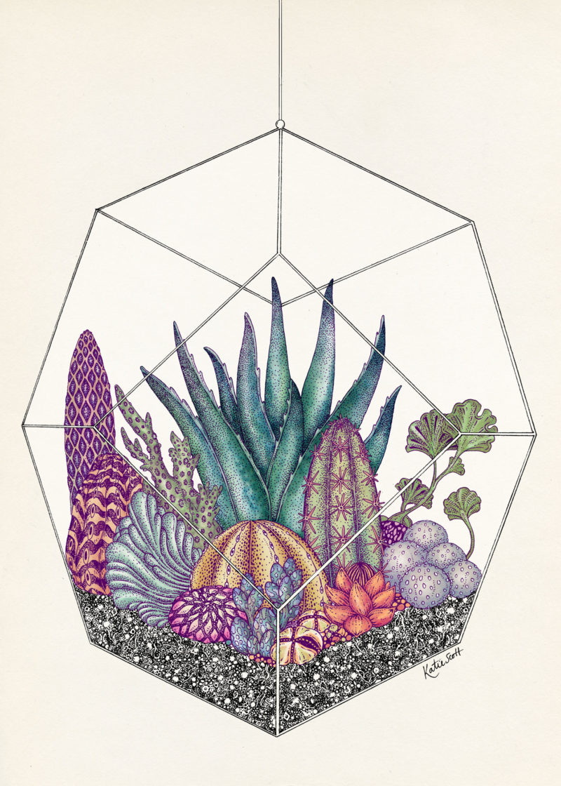 the botanical drawings of katie scott