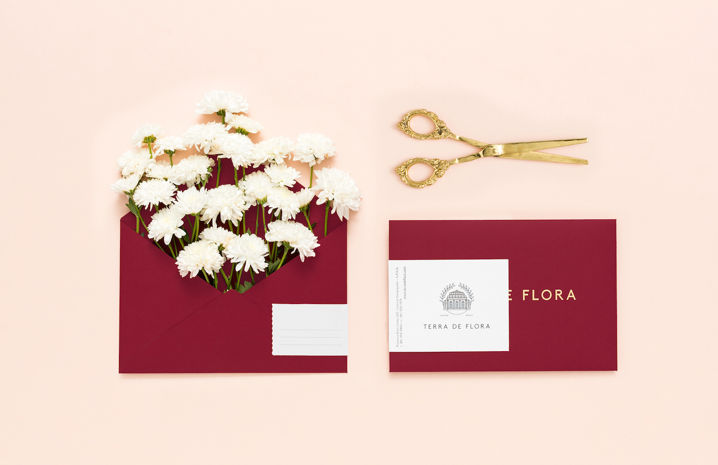 visual identity of terra de flora by parametro