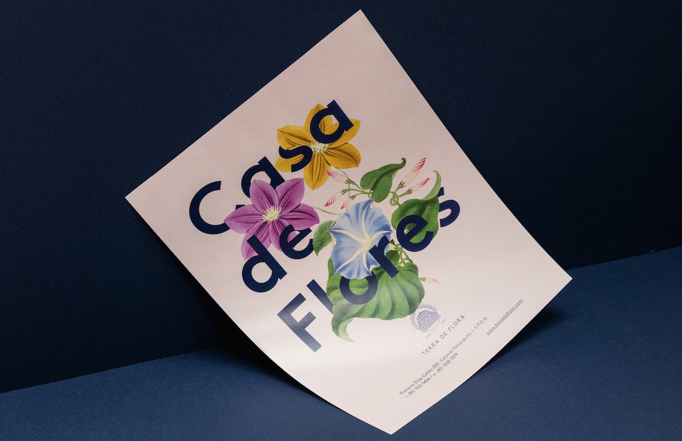 visual identity of terra de flora by parametro