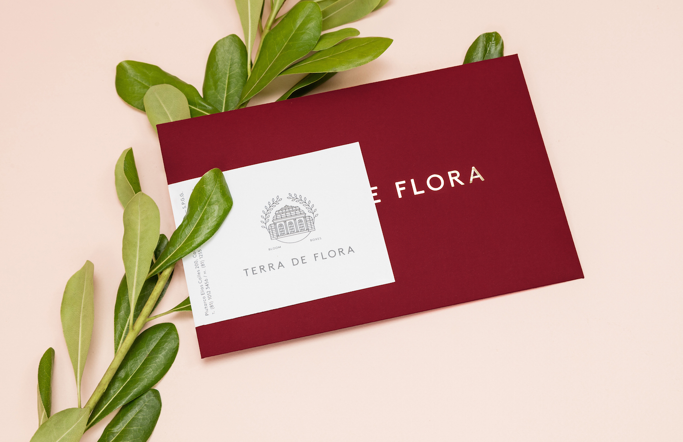 visual identity of terra de flora by parametro