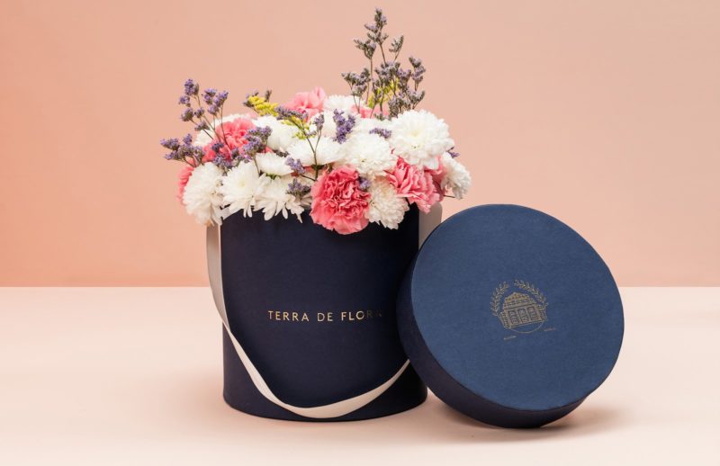 visual identity of terra de flora by parametro featured