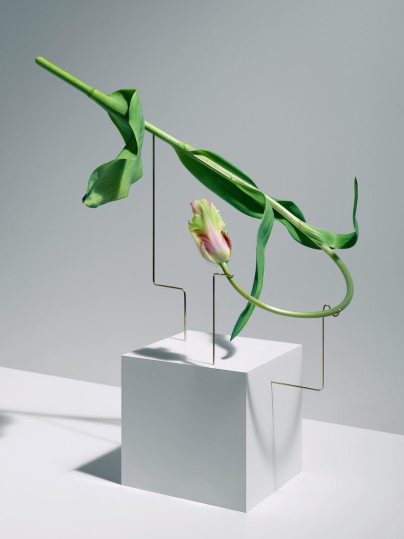 Carl Kleiner postures series