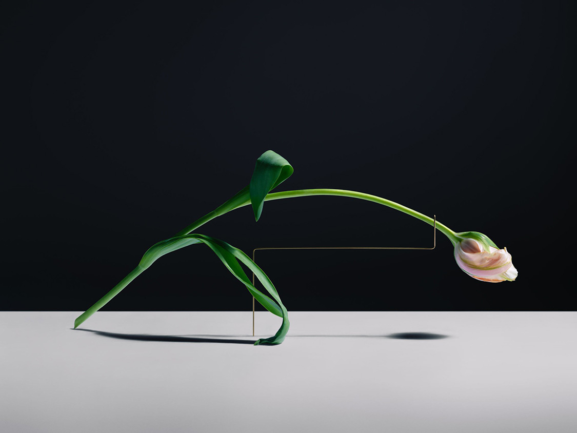 Carl Kleiner postures series