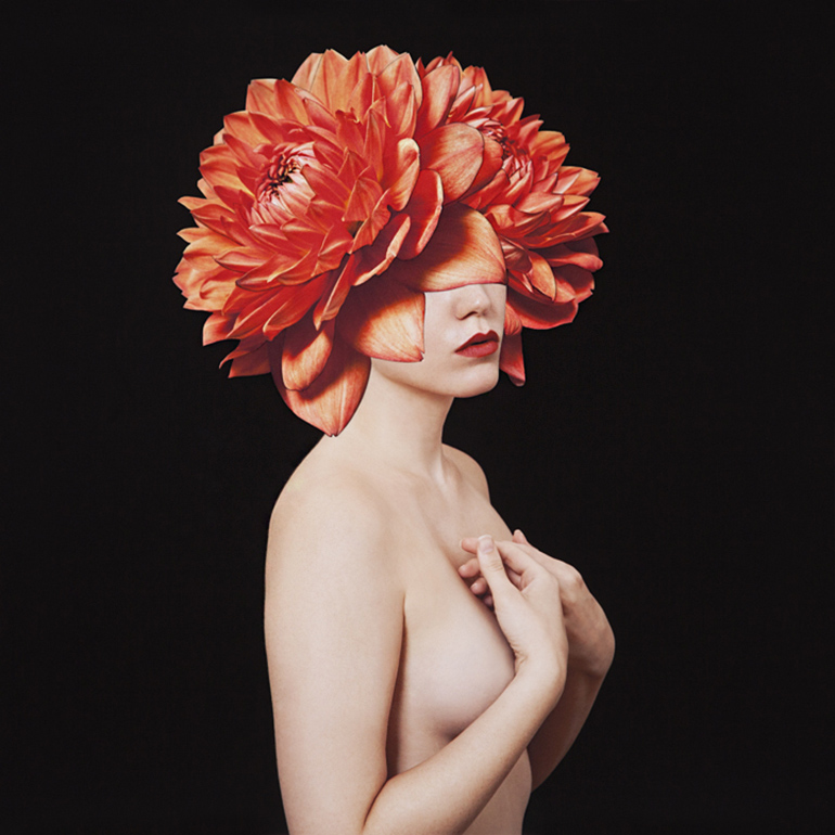 alexandra bellissimo collages