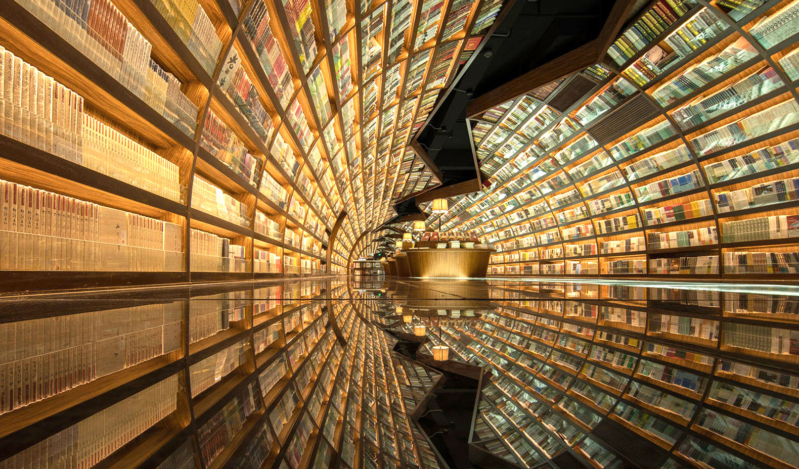 the book tunnel by xl muse