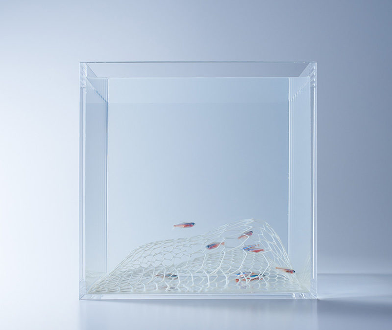 waterscapes by misawa look into the aquatic life