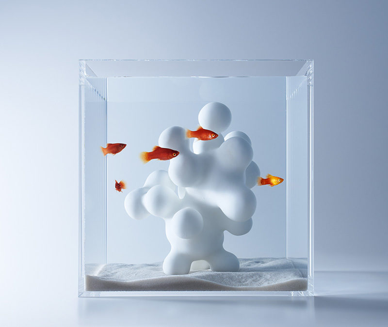 waterscapes by misawa look into the aquatic life