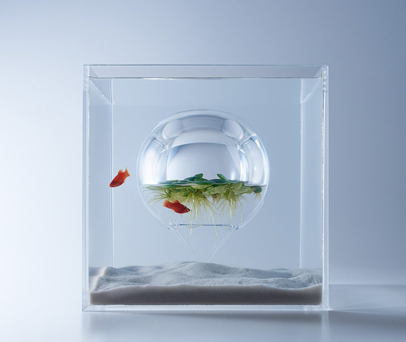 waterscapes by misawa look into the aquatic life