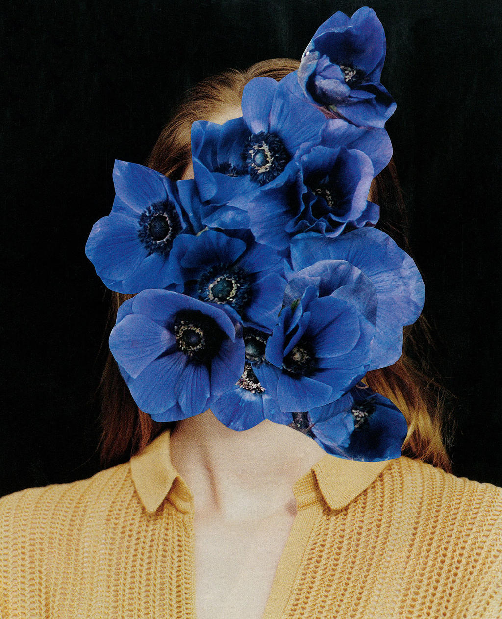 collages by rita zimmermann