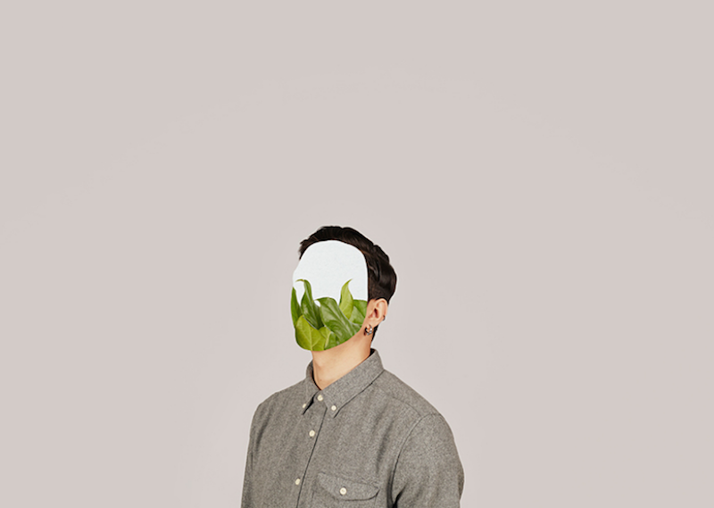 alma haser documents human eureka moments