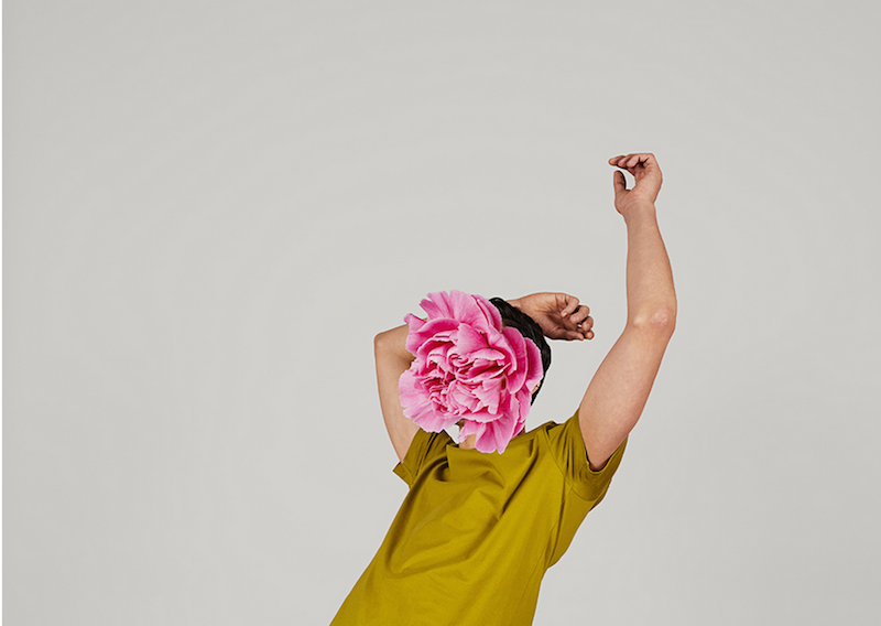 alma haser documents human eureka moments