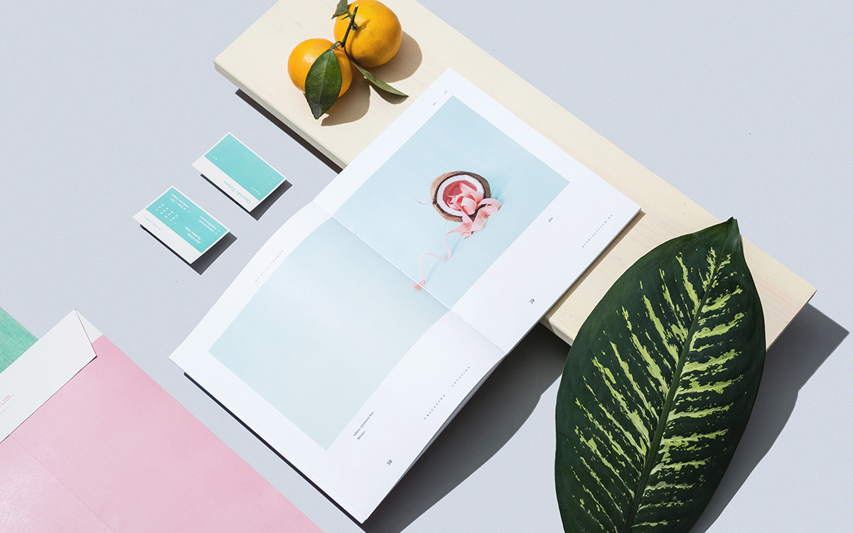 querido tulum branding by futura is ode to the mexican spirit