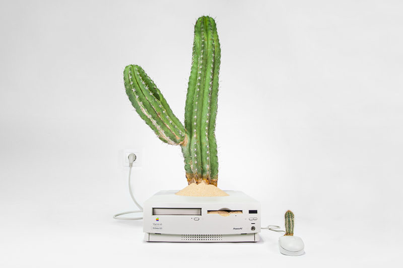mr plant turns your old mac into