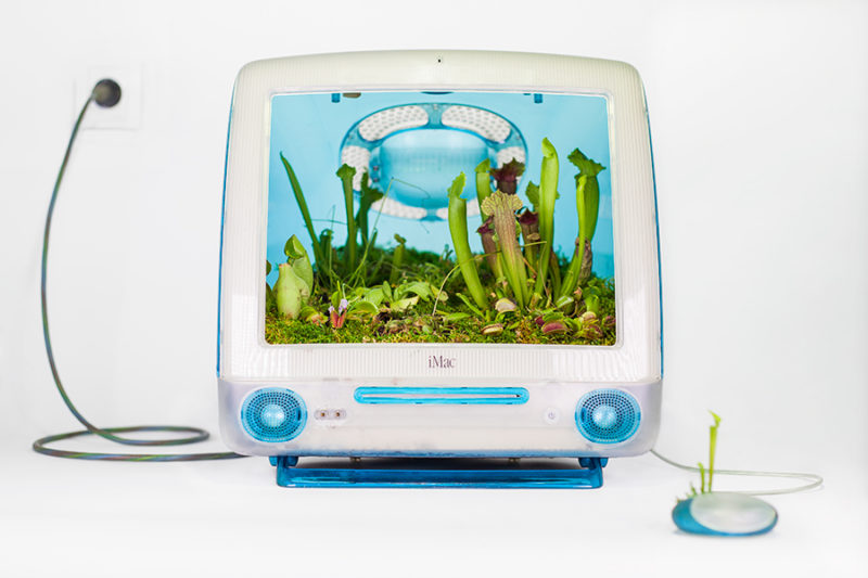 mr plant turns your old mac into