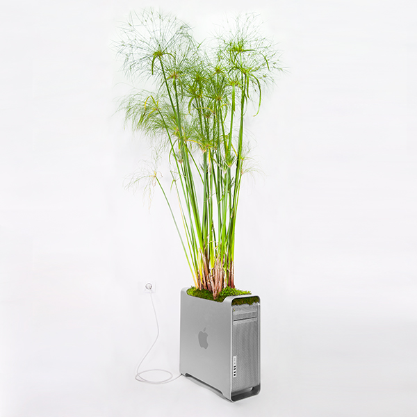 mr plant turns your old mac into