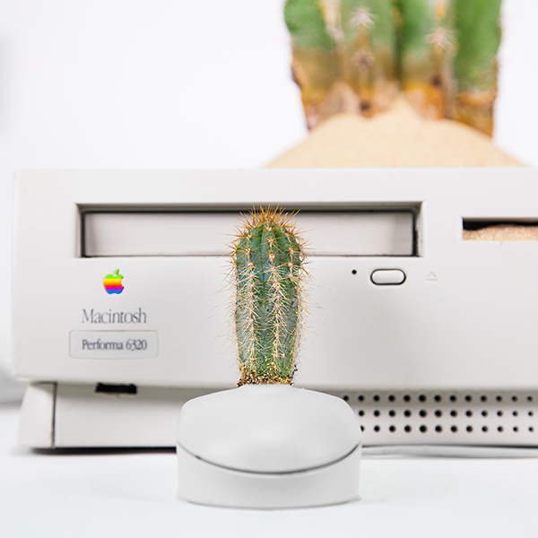mr plant turns your old mac into