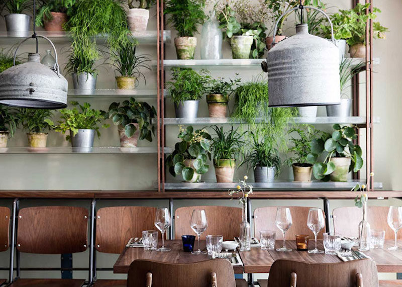 vakst restaurant in copenhagen is green oasis