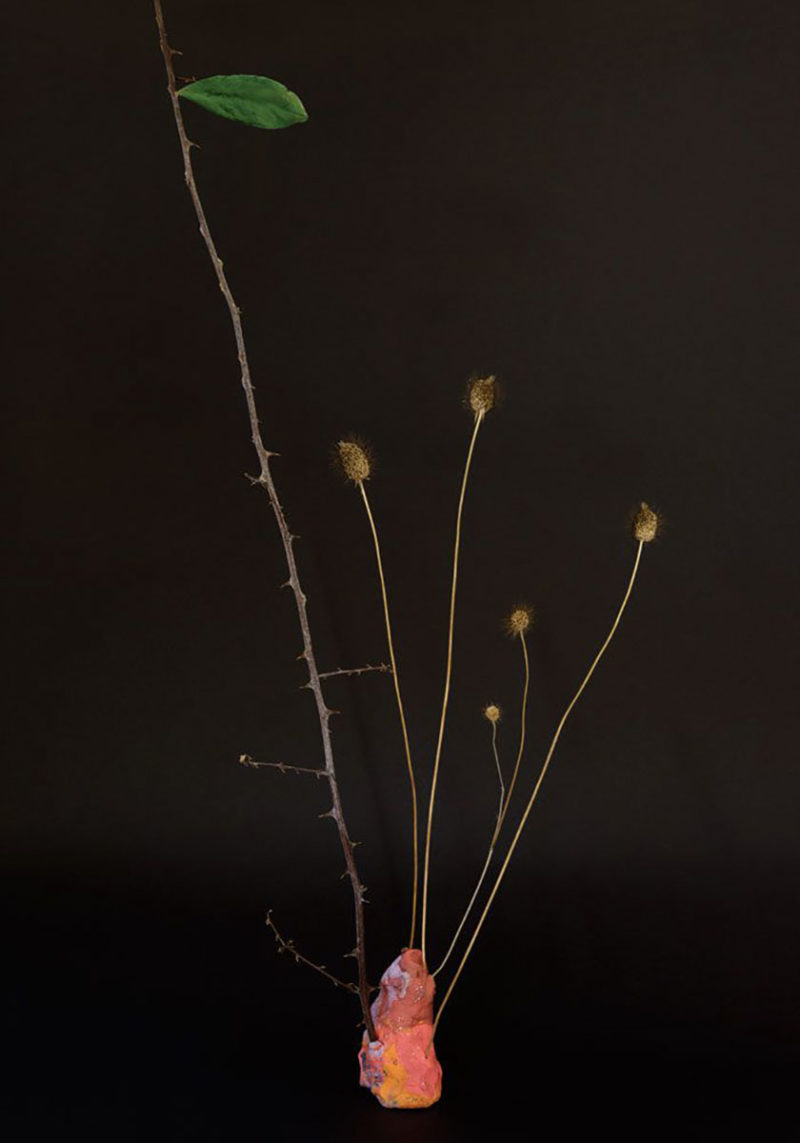 ikebana sarah illenberger