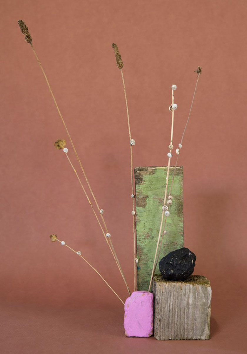 ikebana sarah illenberger