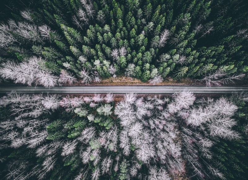 wonders of nature from above by tobias hagg