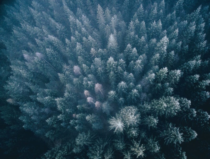 wonders of nature from above by tobias hagg