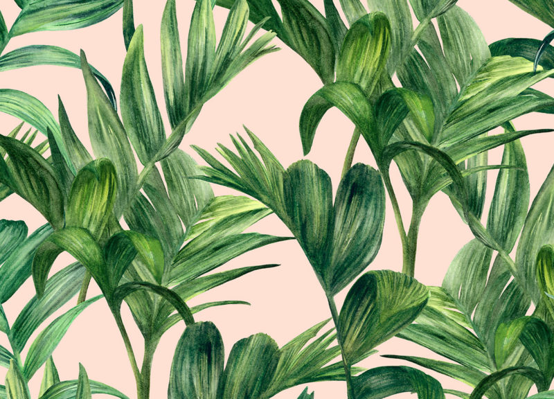 botanical patterns by shelley steer