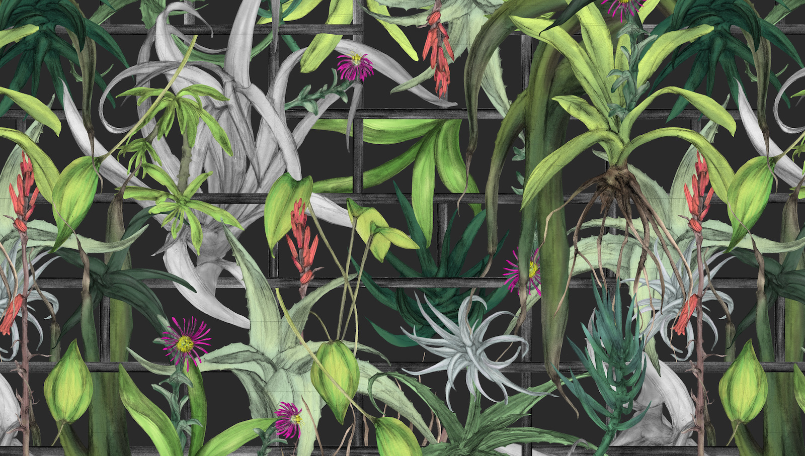 botanical patterns by shelley steer featured