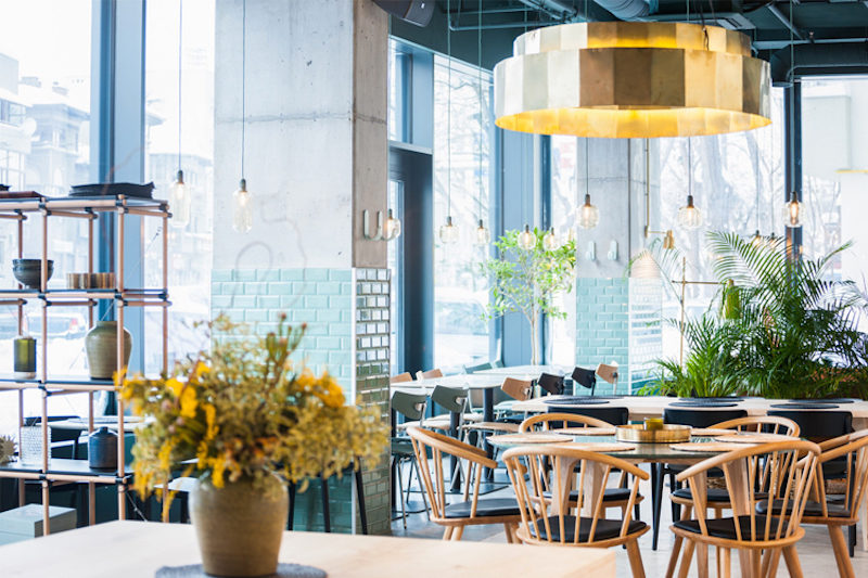 kane world food studio in bucharest