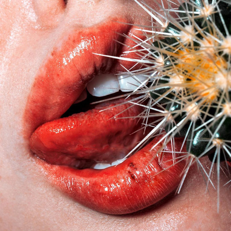 marius sperlich macro lips photography