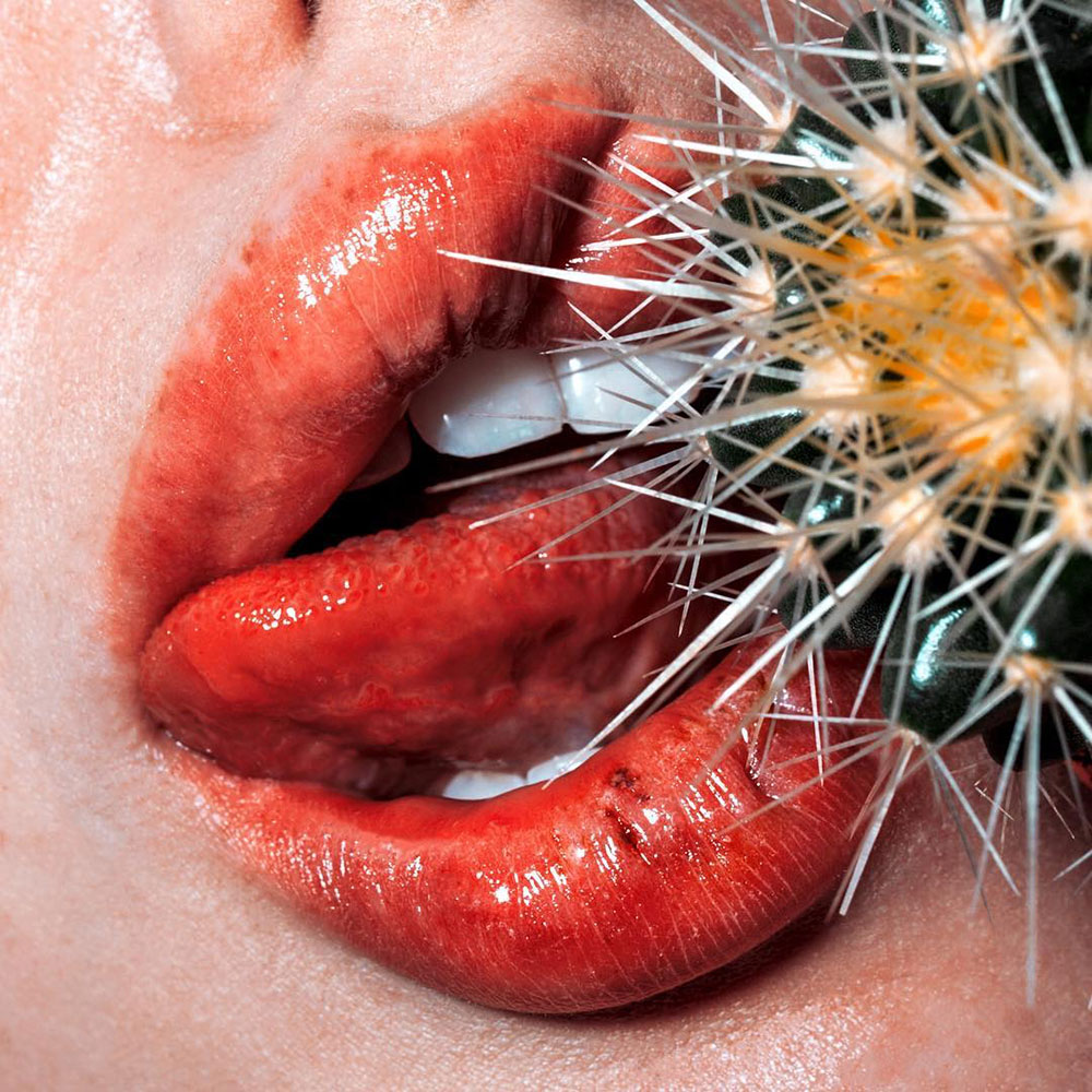 marius sperlich macro lips photography