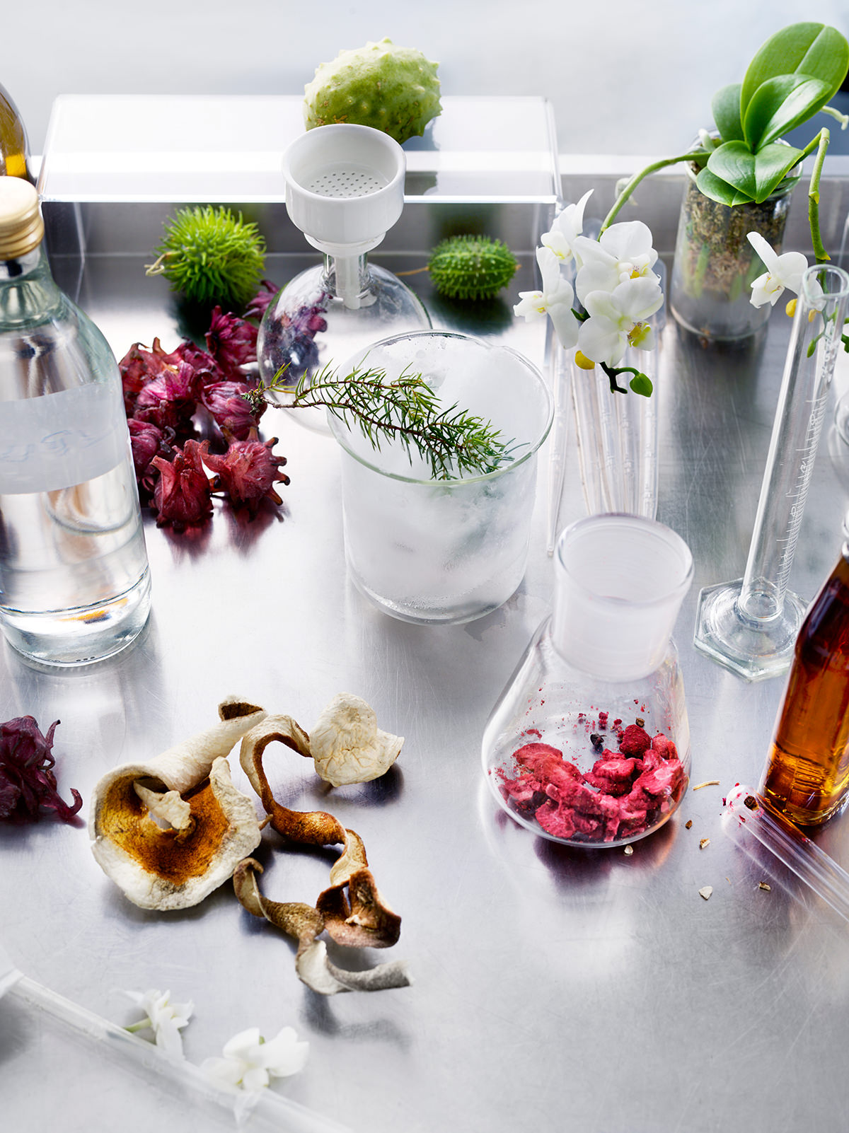 nordic spirits lab innovative cocktails trendland