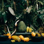 pepi de boissieu food installation