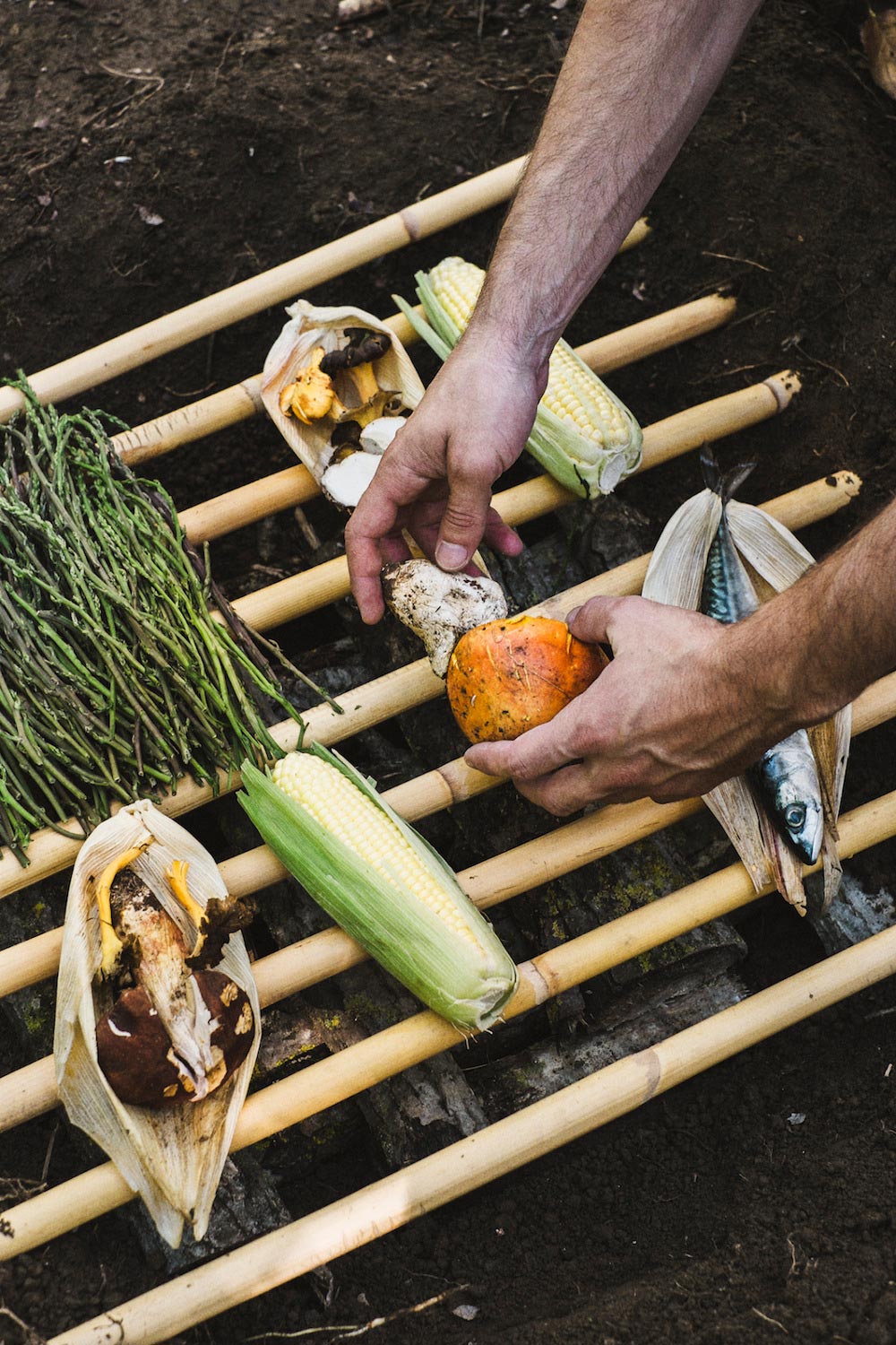 pepi de boissieu food installation