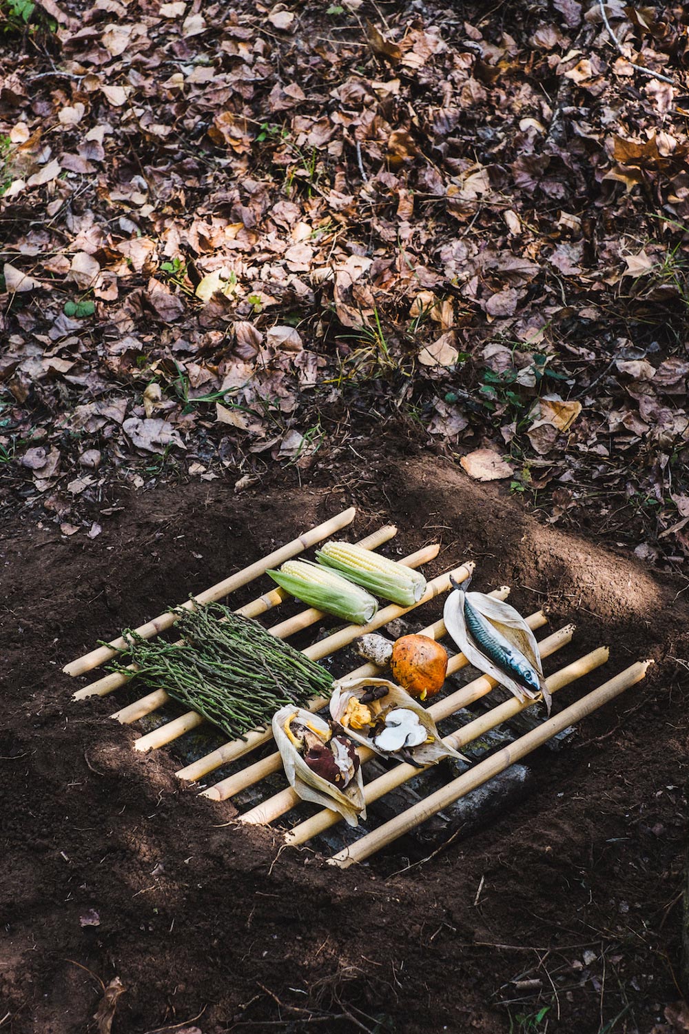 pepi de boissieu food installation