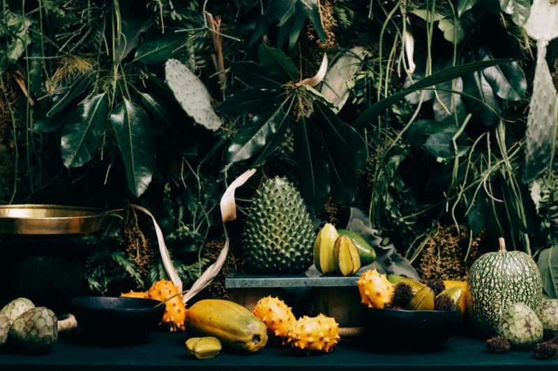 pepi de boissieu food installation