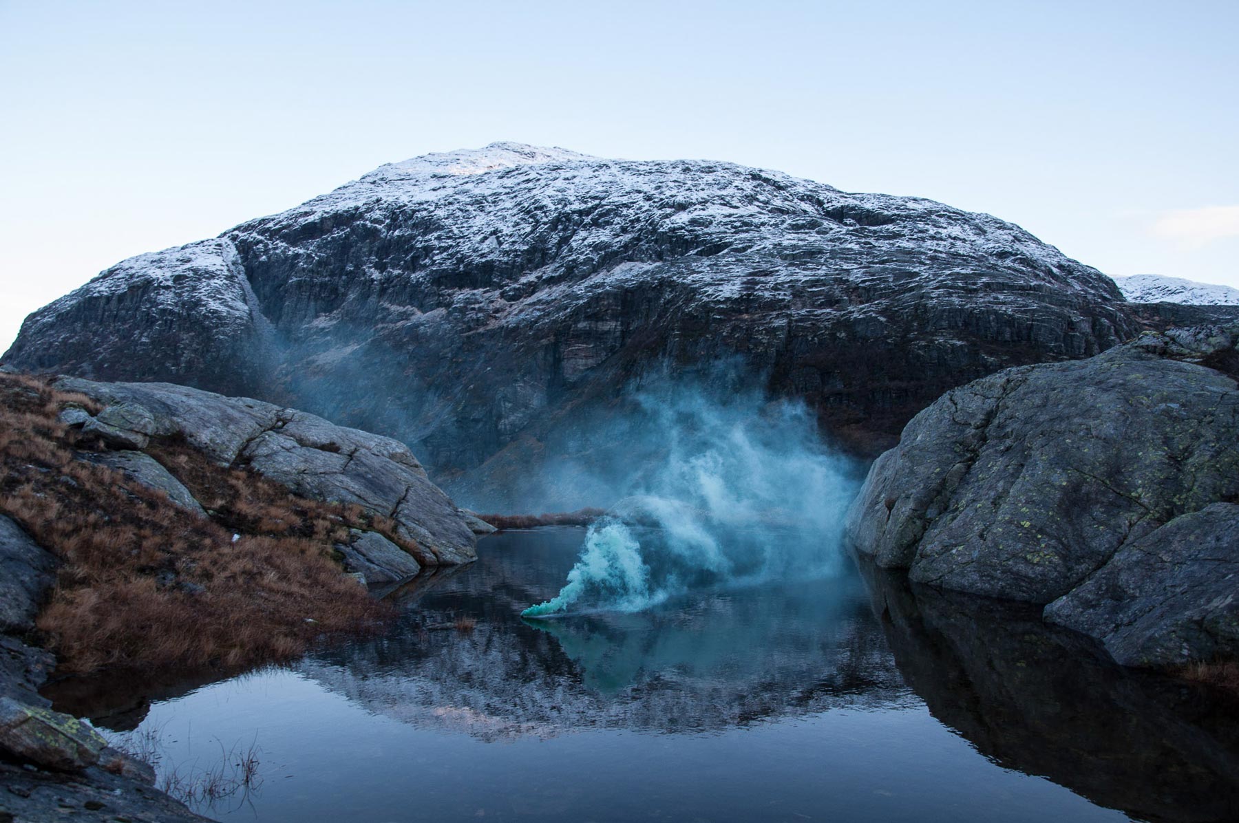 blossom by isabelle alexis