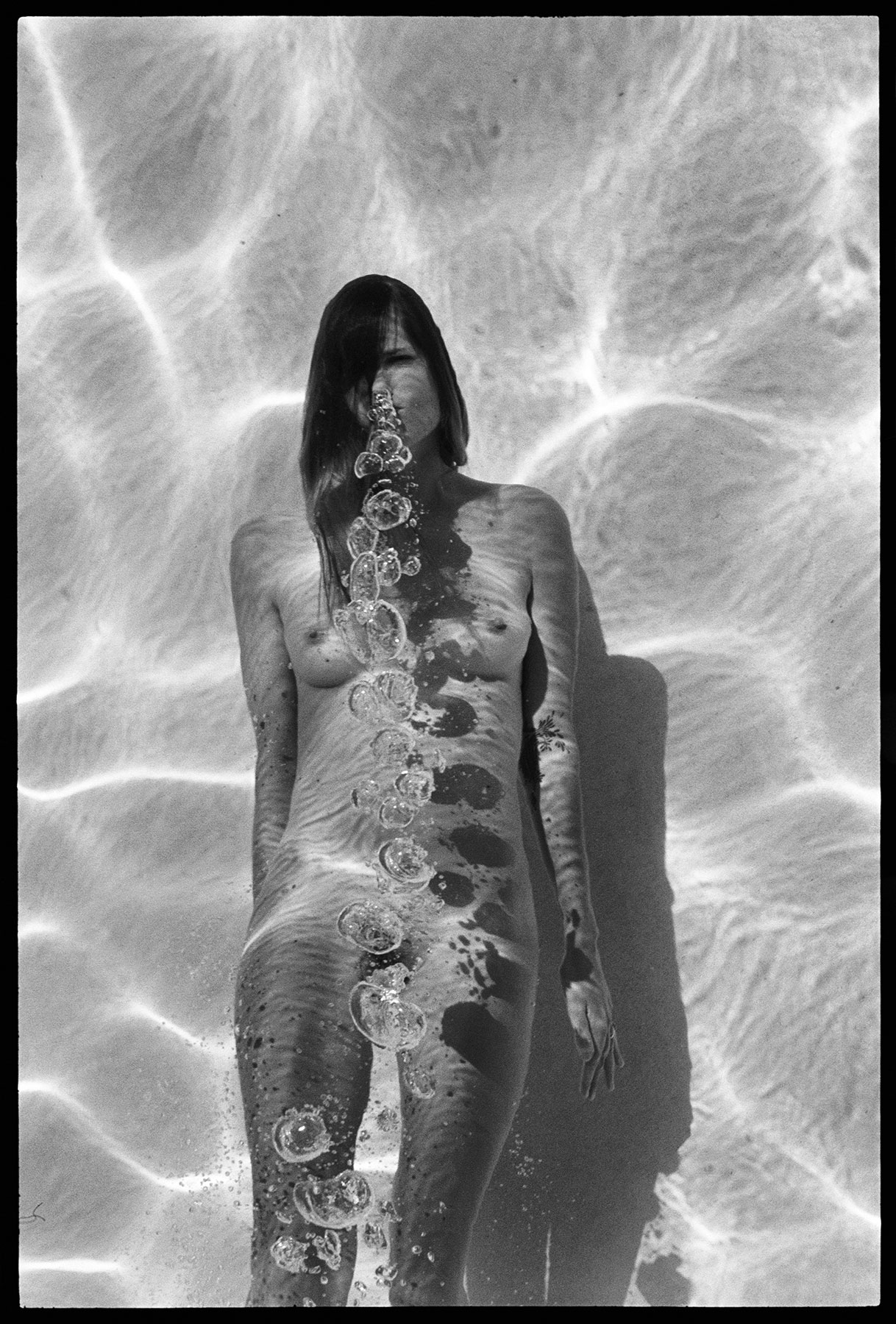 deanna templeton swimming pool series