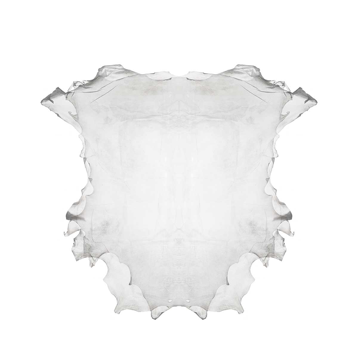 sruli recht transparent leather clothing