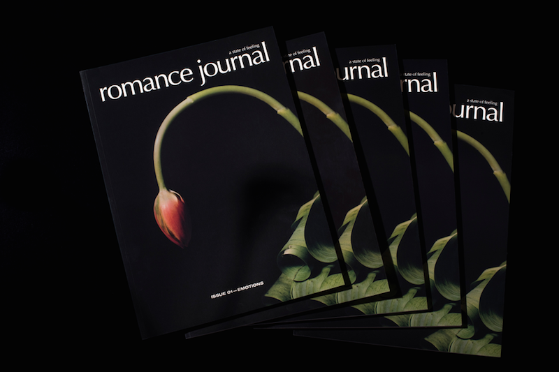 romance journa dedicated to female emotions