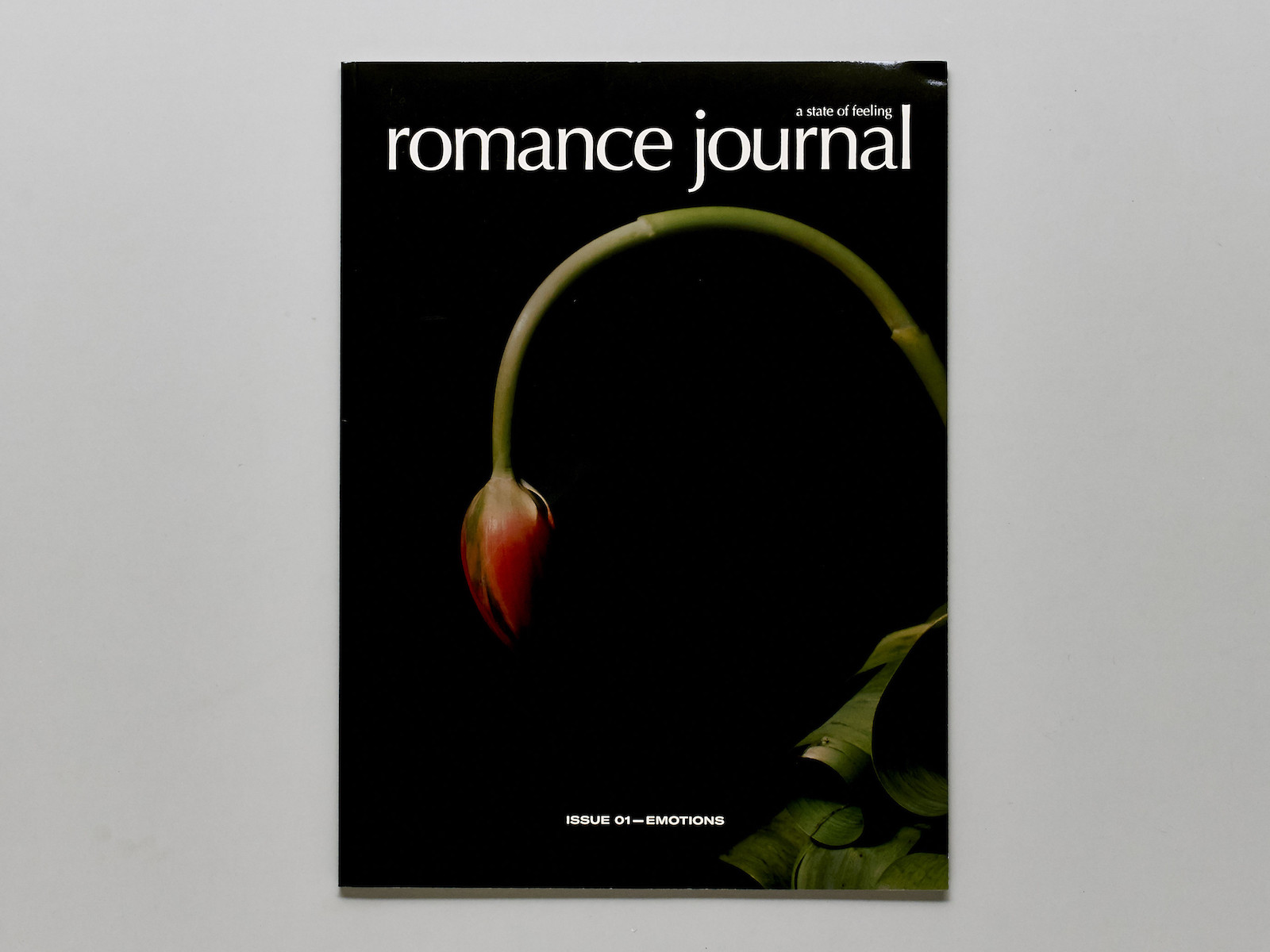 romance journa dedicated to female emotions featured