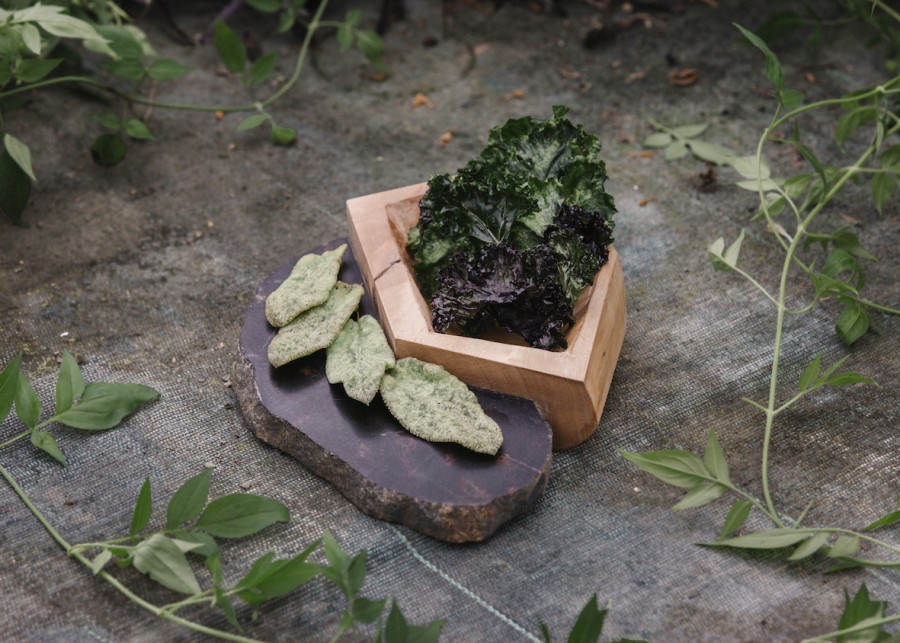 steinbeisser experimental gastronomy