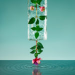 the beauty of frozen flowers by paloma rincon featured