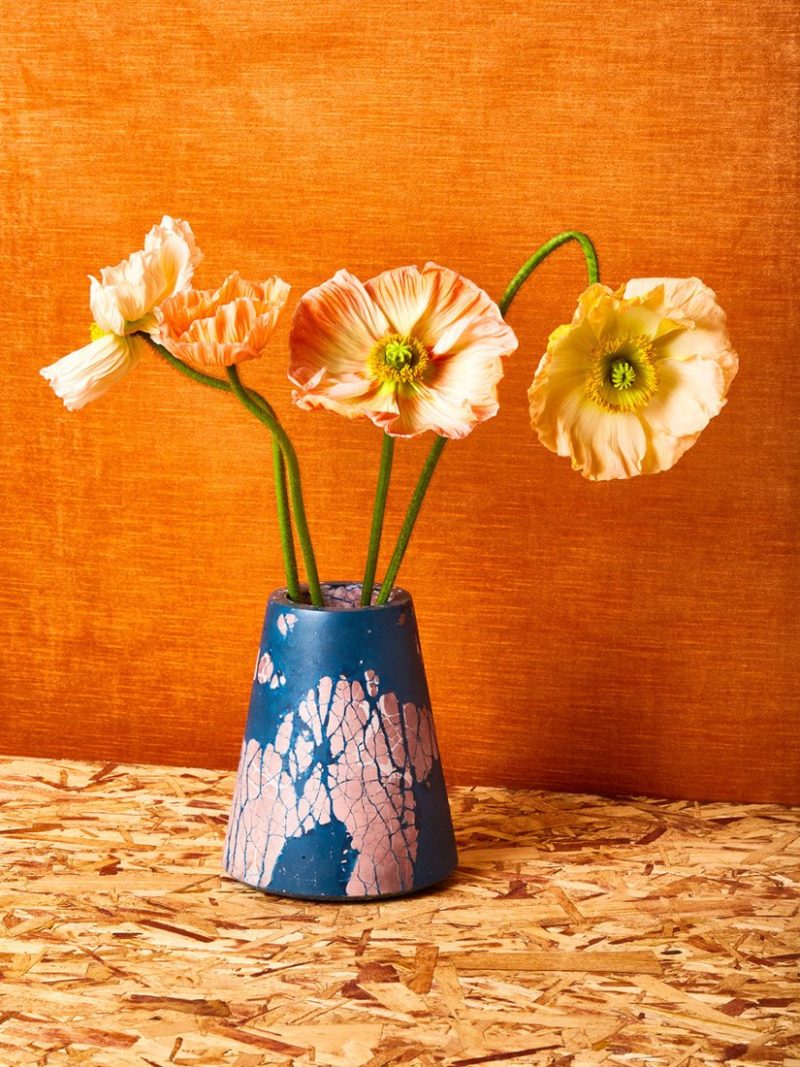 concrete cat rainbow creations