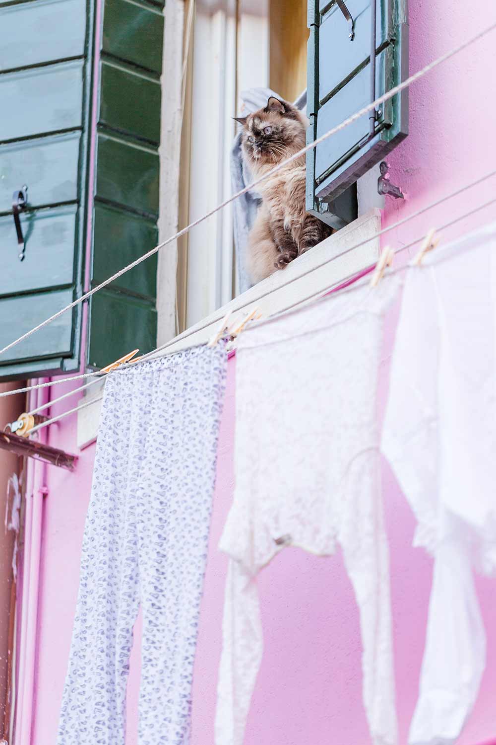 una giornata a casa burano