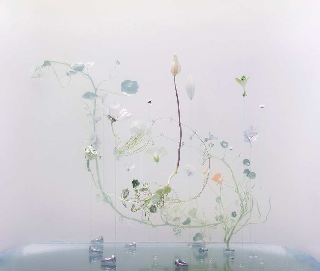underwater ballet anne ten donkelaar