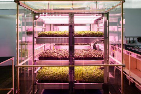 ikeas-space10-hydroponic-vertical-farm-2